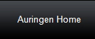 Auringen Home