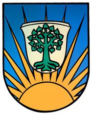 Wappen-Auringen2